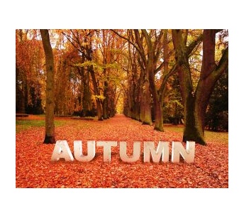 autumn  